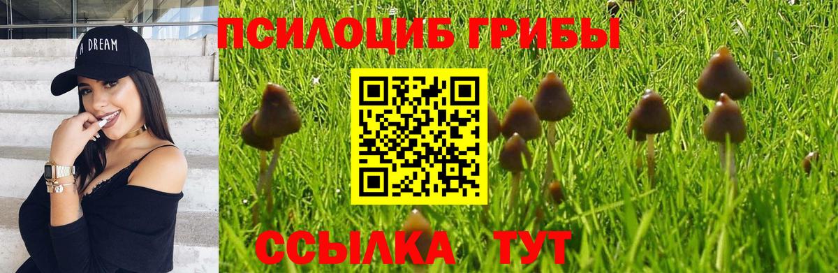 Галлюциногенные грибы Magic Shrooms Бор